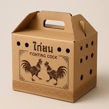 images - 2025-10-16T084948.298